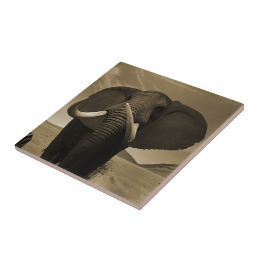 Meerhuisstatus Tegeltje (Zijkant)