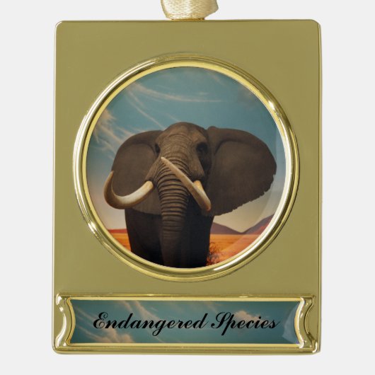 Meerhuisstatus Verguld Banner Ornament (Voorkant)