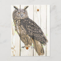 Meerhuisuil op getande houten planken