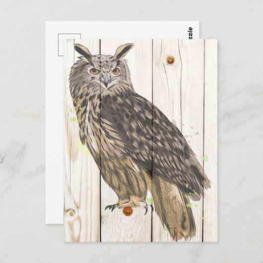 Meerhuisuil op getande houten planken briefkaart (Voorkant / Achterkant)