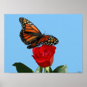 Meerhuisvorst Poster (Voorkant)