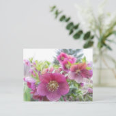 Meerjarige Planten - Paarse Hellebore Briefkaart (Staand voorkant)