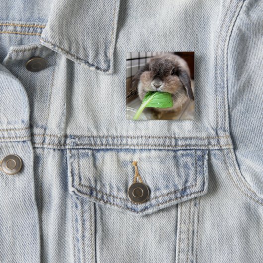 Meerkanaaltje Vierkante Button 5,1 Cm (In situ)