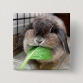 Meerkanaaltje Vierkante Button 5,1 Cm (Voorkant)