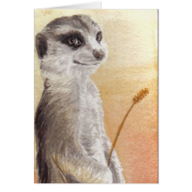 Meerkat (Voorkant)