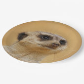 Meerkat2011101 Papieren Bordje (Gekanteld)