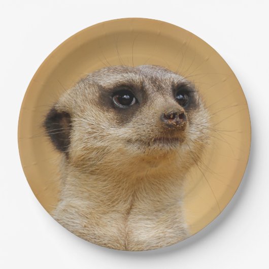 Meerkat2011101 Papieren Bordje (Voorkant)