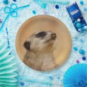 Meerkat20151002 Papieren Bordje (Feest)