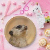 Meerkat20151002 Papieren Bordje (Feest)