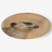 Meerkat20151002 Papieren Bordje (Gekanteld)
