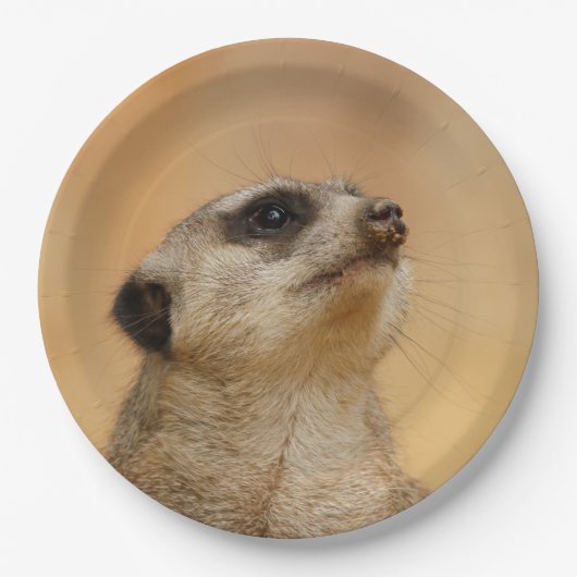 Meerkat20151002 Papieren Bordje (Voorkant)