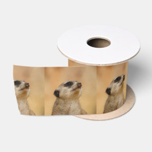 Meerkat20151002 Satijnen Lint