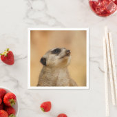 Meerkat20151002 Servetten (Insitu)