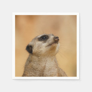 Meerkat20151002 Servetten
