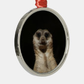 Meerkat20151010 Metalen Ornament (Rechts)