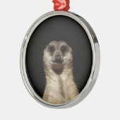 Meerkat20151010 Metalen Ornament (Links)