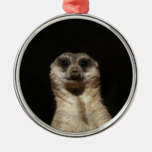 Meerkat20151010 Metalen Ornament