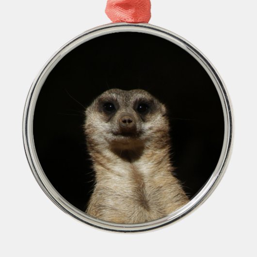 Meerkat20151010 Metalen Ornament (Voorkant)