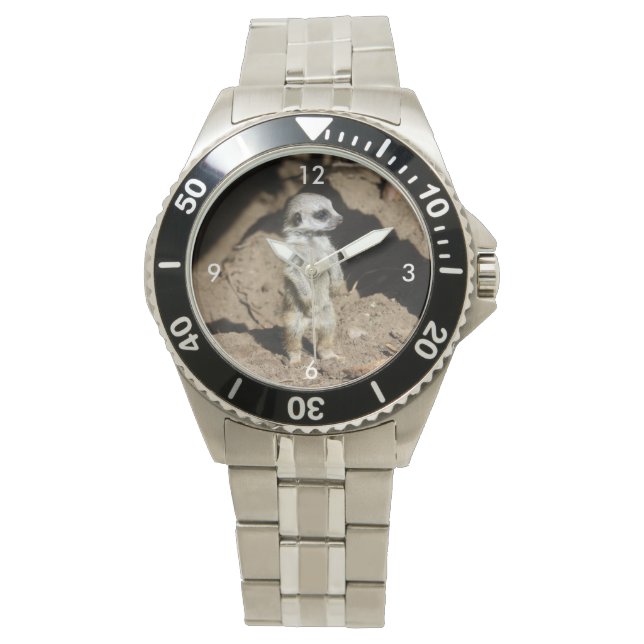 Meerkat20160201 Horloge (Voorkant)