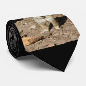 Meerkat20160203 Stropdas (Opgerold)