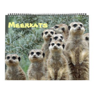 Meerkat 001 kalender