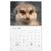 Meerkat 001 kalender (Jan 2026)