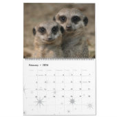 Meerkat 001 kalender (Feb 2026)