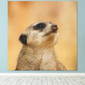 Meerkat 001 van JAMFoto Canvas Afdruk (Insitu (Houten vloer))