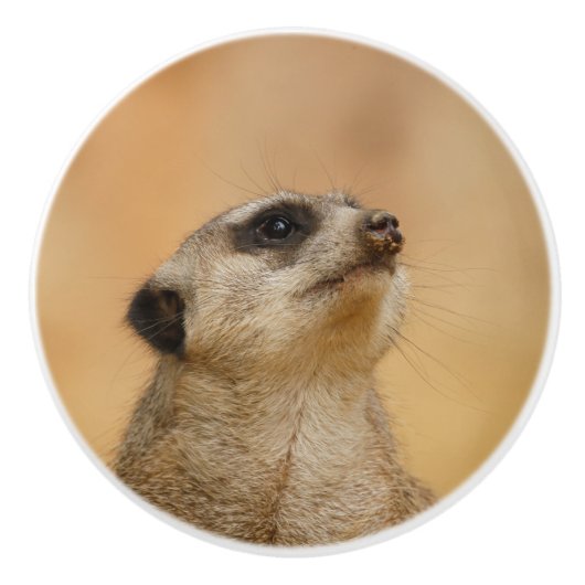 Meerkat 001 van JAMFoto Keramische Knop (Voorkant)