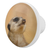 Meerkat 001 van JAMFoto Keramische Knop (Rechts)