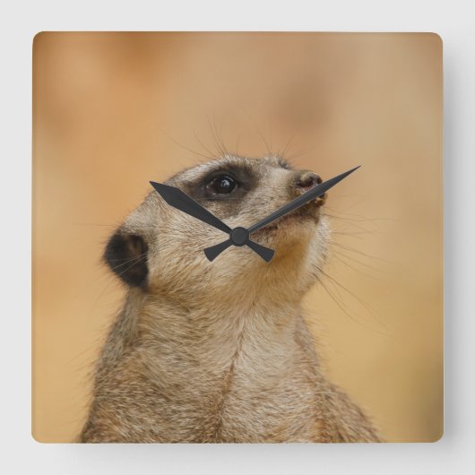 Meerkat 001 van JAMFoto Vierkante Klok (Voorkant)