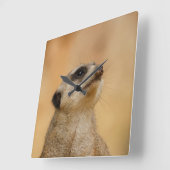 Meerkat 001 van JAMFoto Vierkante Klok (Hoek)