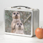 Meerkat_002_by_JAMFoto (In situ)