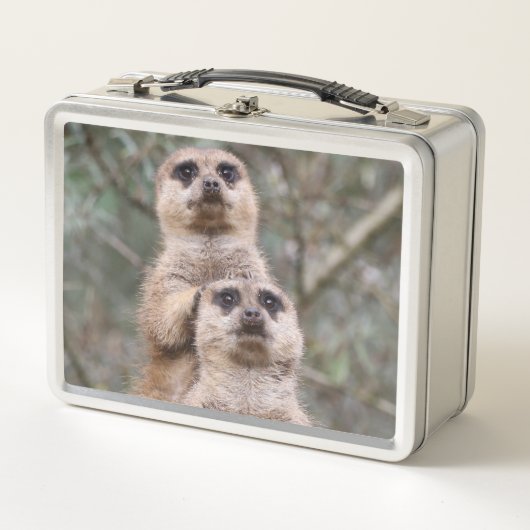 Meerkat_002_by_JAMFoto (Voorkant)