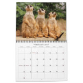 Meerkat 002 kalender (Feb 2027)