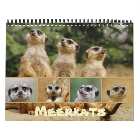 Meerkat 002 kalender (Hoes)