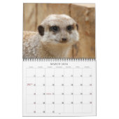 Meerkat 002 kalender (Mar 2026)