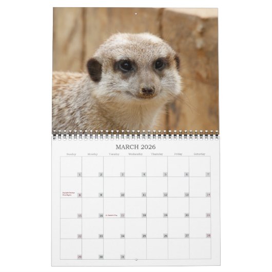 Meerkat 002 kalender (Mar 2026)