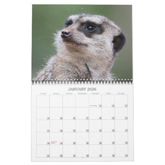 Meerkat 002 kalender (Jan 2026)