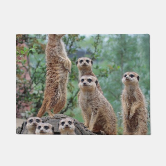 Meerkat_003 Deurmat (Voorkant)