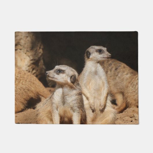 Meerkat 003 deurmat (Voorkant)