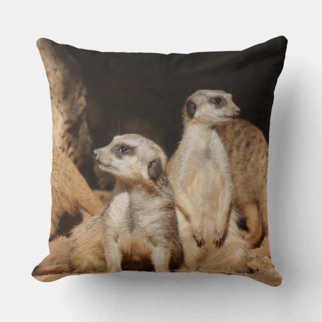 Meerkat 003 kussen (Voorkant)