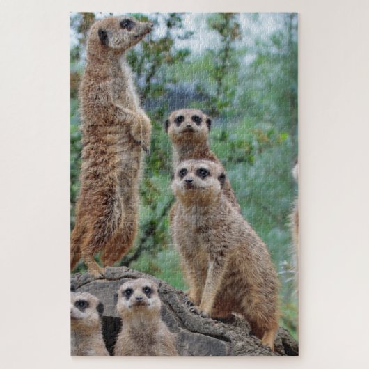 Meerkat_003 Legpuzzel (Verticaal)