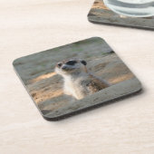 Meerkat 004 bier onderzetter (Linkerzijde)