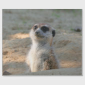 Meerkat 004 cadeaupapier (Vlak)