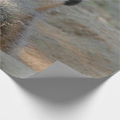 Meerkat 004 cadeaupapier (Hoek)