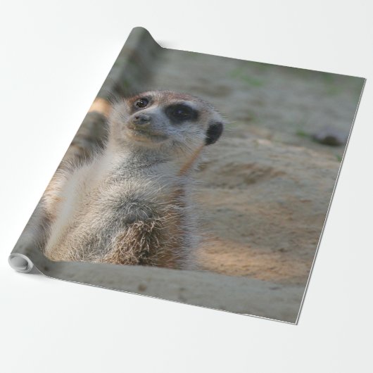 Meerkat 004 cadeaupapier (Uitgerold)