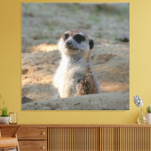 Meerkat 004 canvas afdruk (Insitu (Woonkamer))