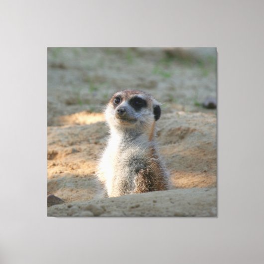 Meerkat 004 canvas afdruk (Voorkant)