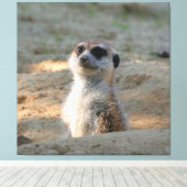 Meerkat 004 canvas afdruk (Insitu (Houten vloer))